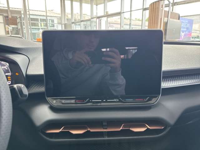 Fahrzeugbild eines CUPRA Terramar