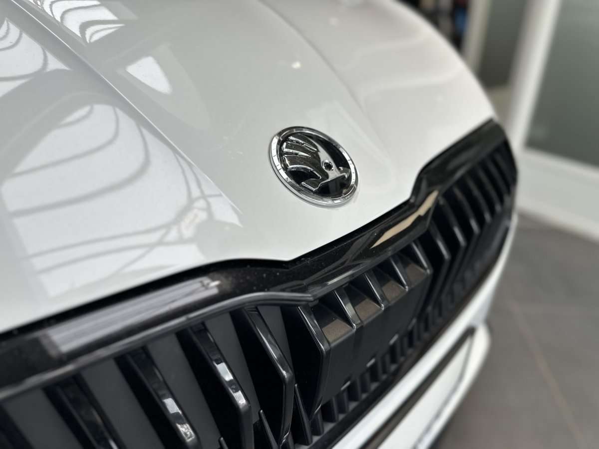 Fahrzeugbild eines Skoda Fabia