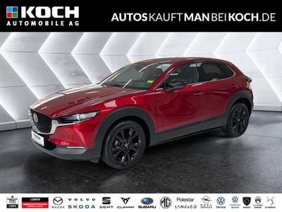 Bild Mazda CX-30