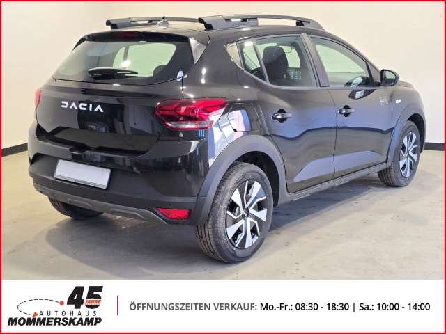 Fahrzeugbild eines Dacia Sandero