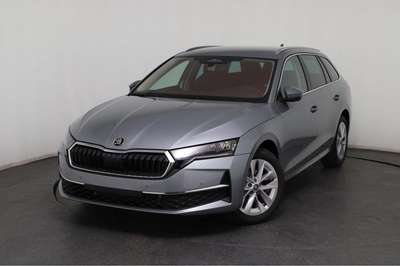 Bild Skoda Octavia