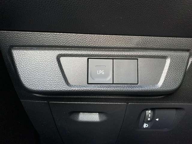 Fahrzeugbild eines Dacia Jogger