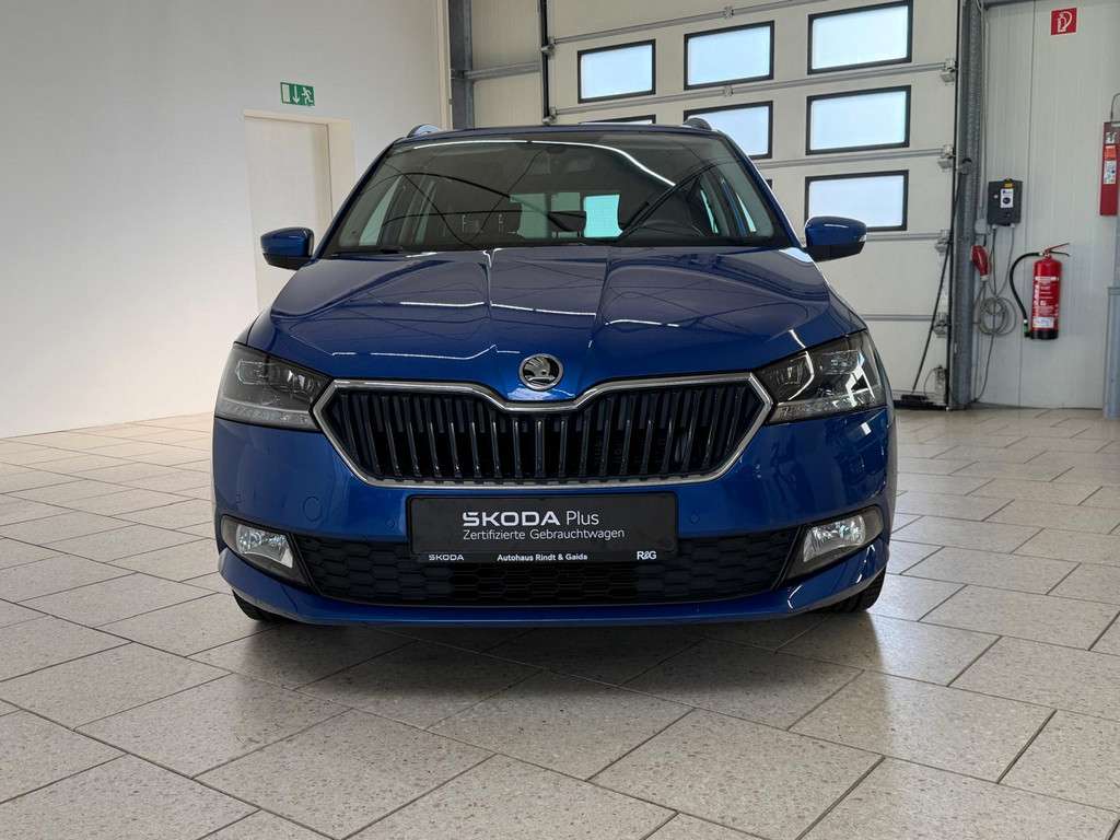Fahrzeugbild eines Skoda Fabia