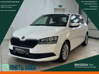 Bild Skoda Fabia