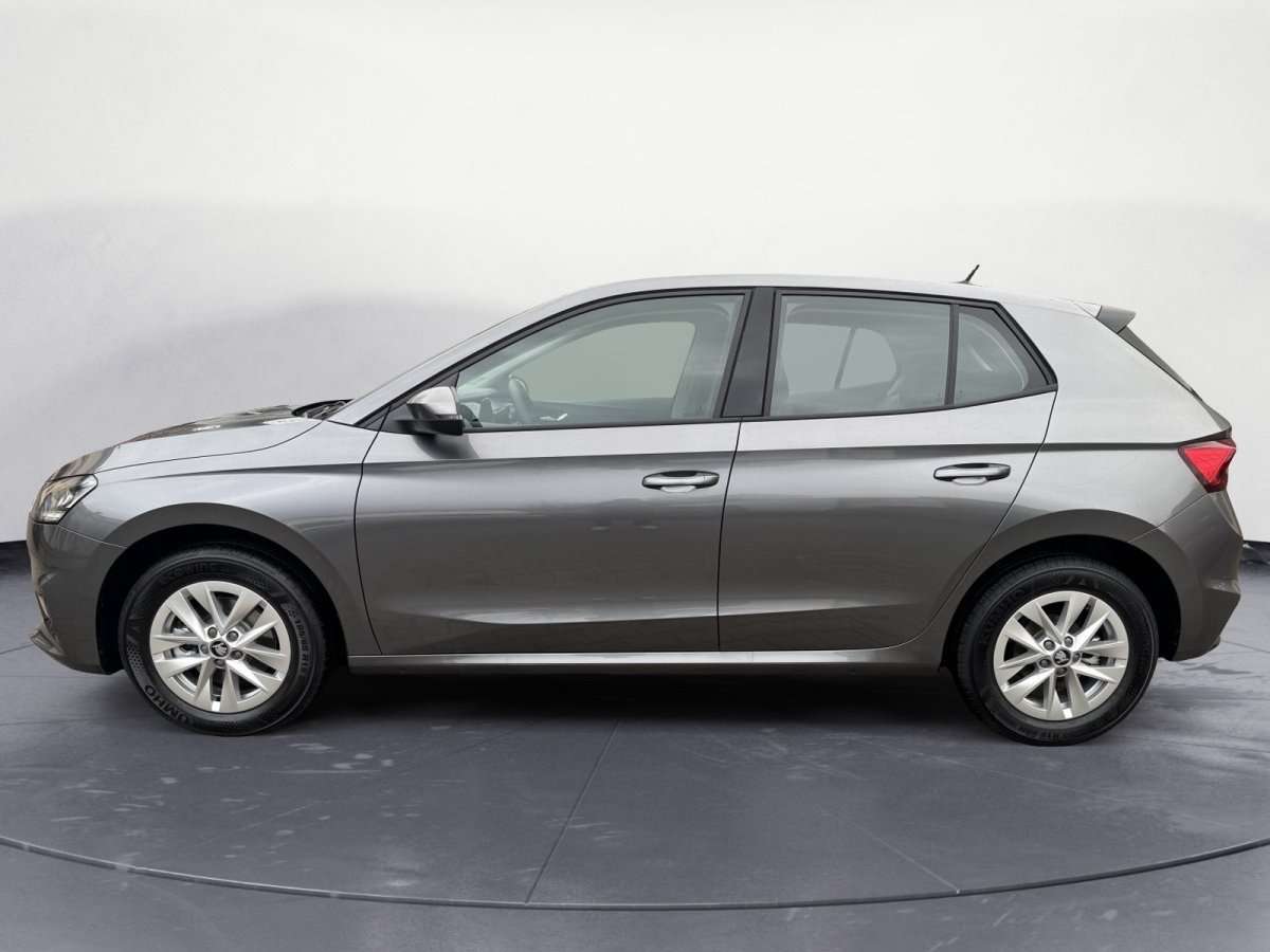 Fahrzeugbild eines Skoda Fabia