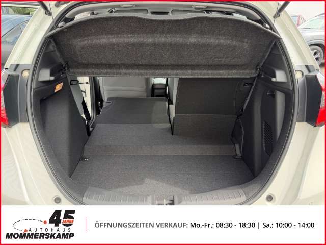 Fahrzeugbild eines Honda Jazz