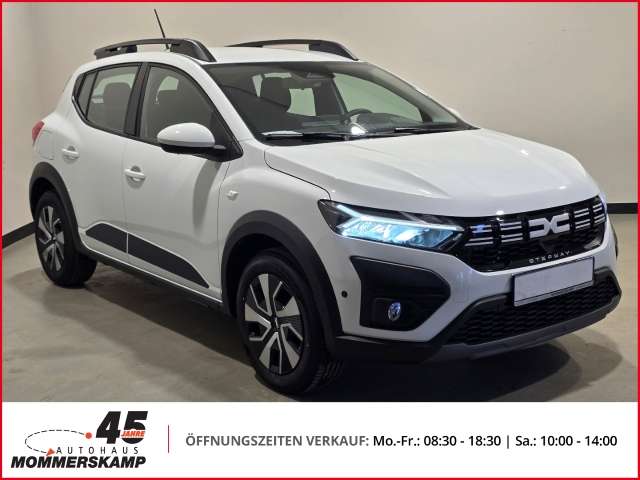 Fahrzeugbild eines Dacia Sandero