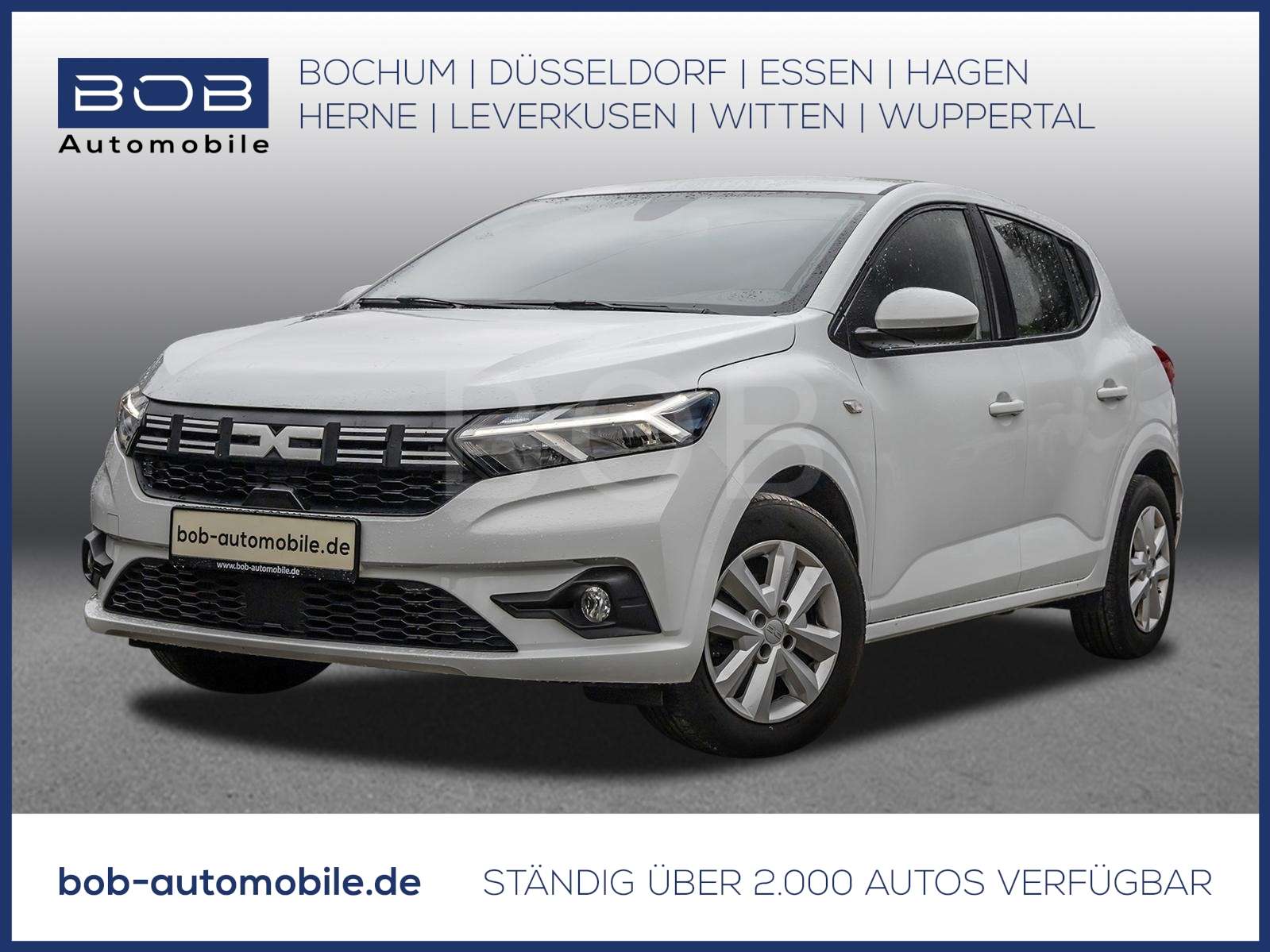 Fahrzeugbild eines Dacia Sandero