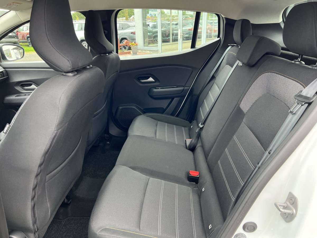 Fahrzeugbild eines Dacia Sandero