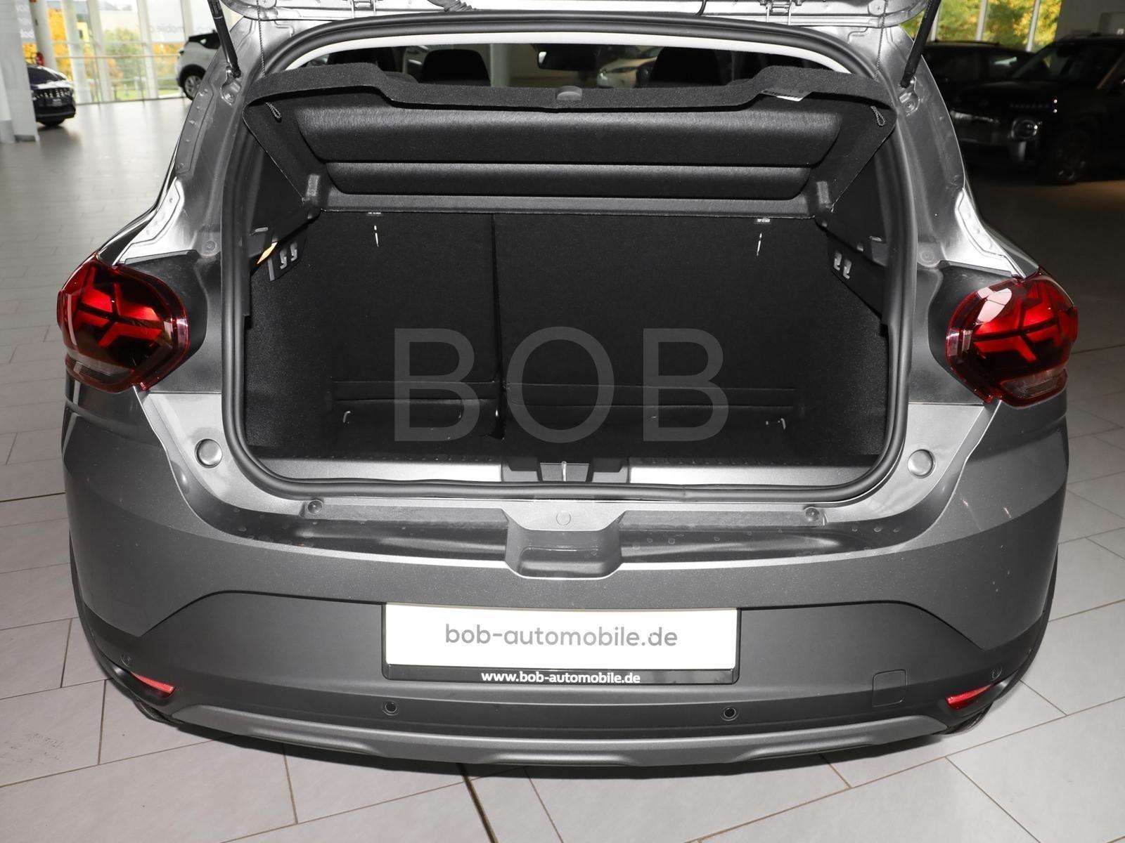 Fahrzeugbild eines Dacia Sandero