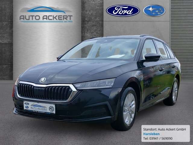 Fahrzeugbild eines Skoda Octavia
