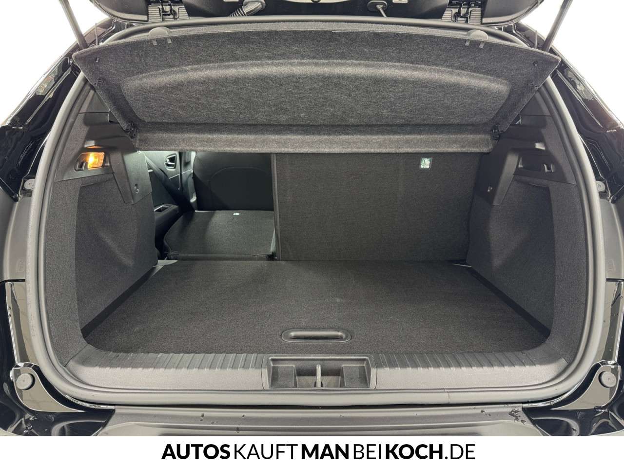 Fahrzeugbild eines Renault Captur