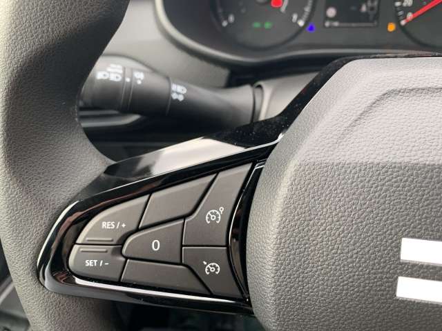 Fahrzeugbild eines Dacia Sandero