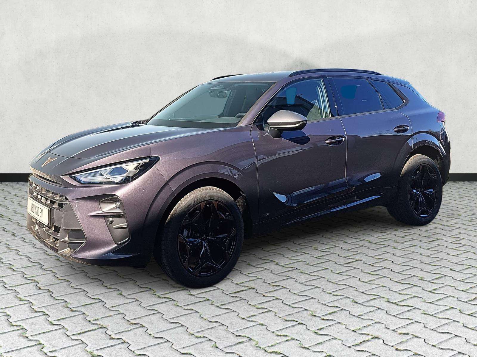 Fahrzeugbild eines CUPRA Terramar