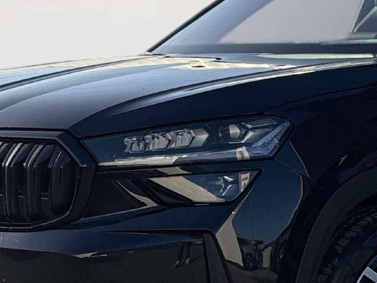 Fahrzeugbild eines Skoda Kodiaq