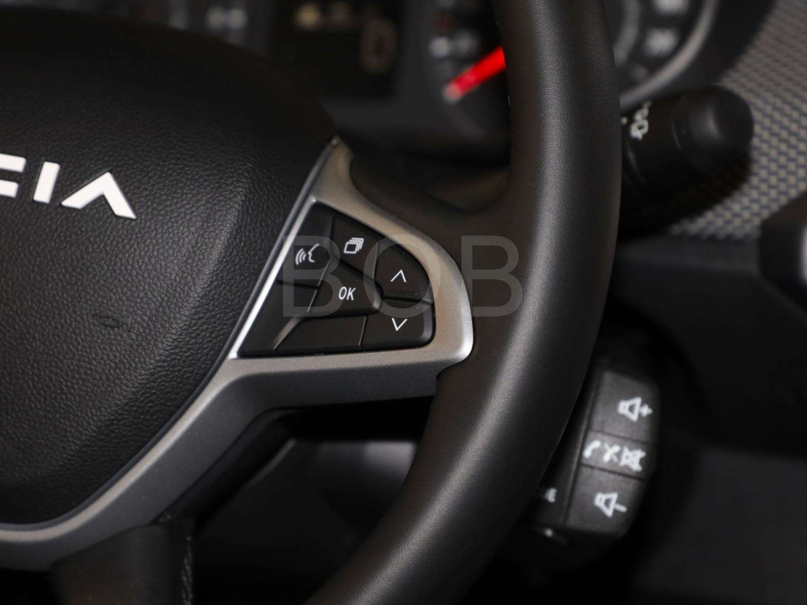 Fahrzeugbild eines Dacia Sandero