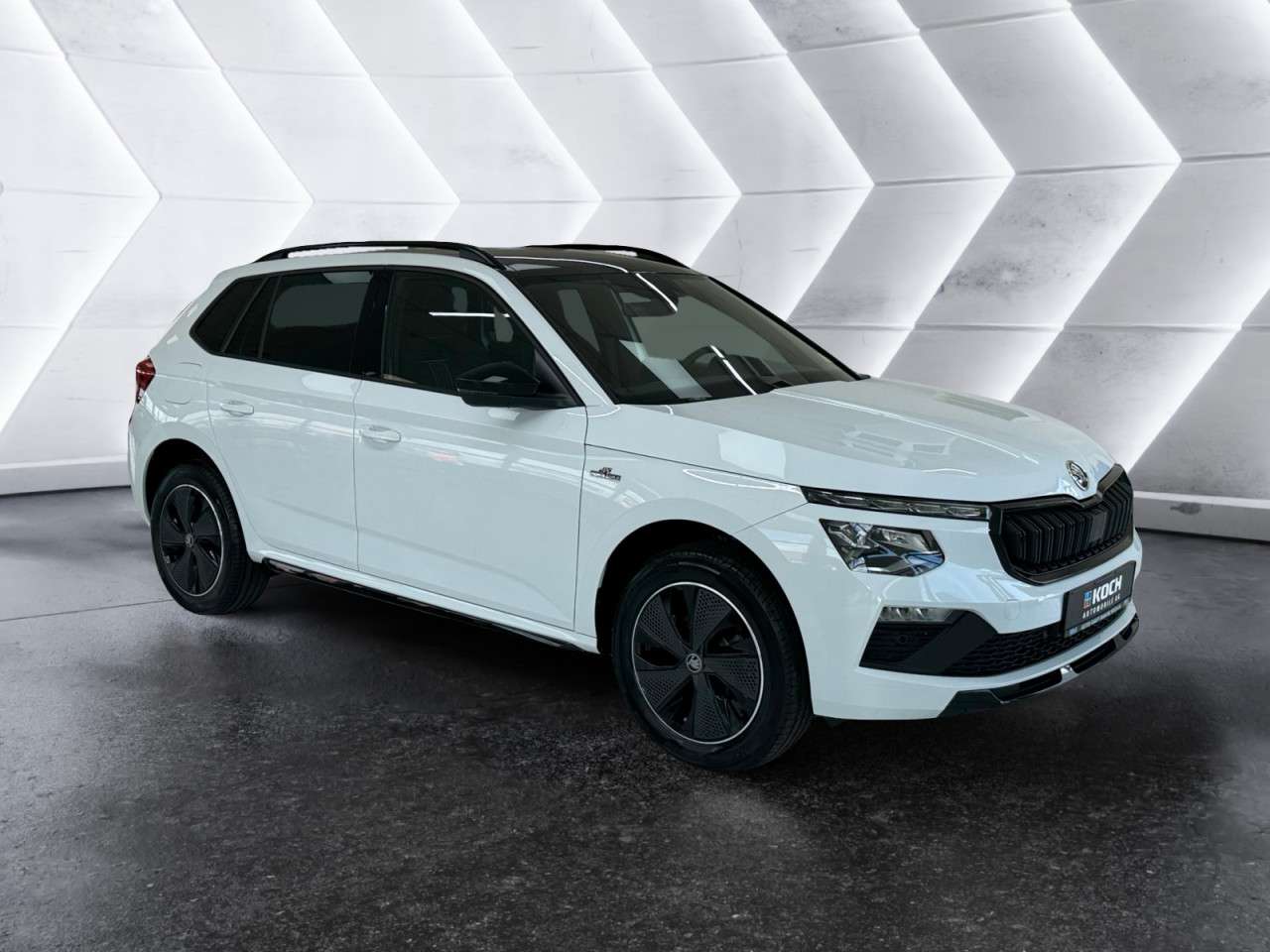 Fahrzeugbild eines Skoda Kamiq