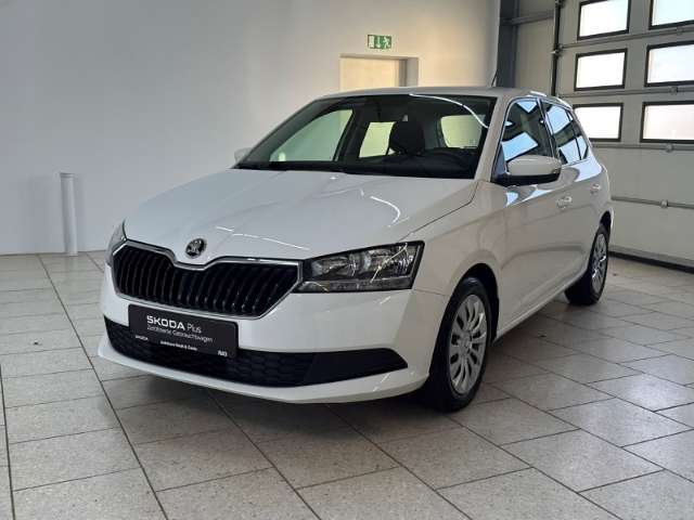 Fahrzeugbild eines Skoda Fabia