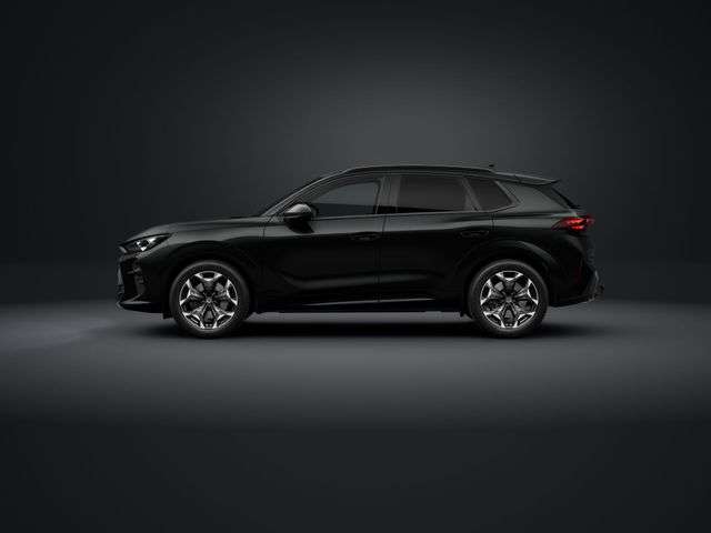 Fahrzeugbild eines CUPRA Terramar