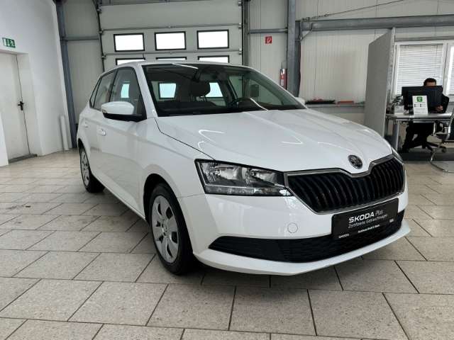 Fahrzeugbild eines Skoda Fabia