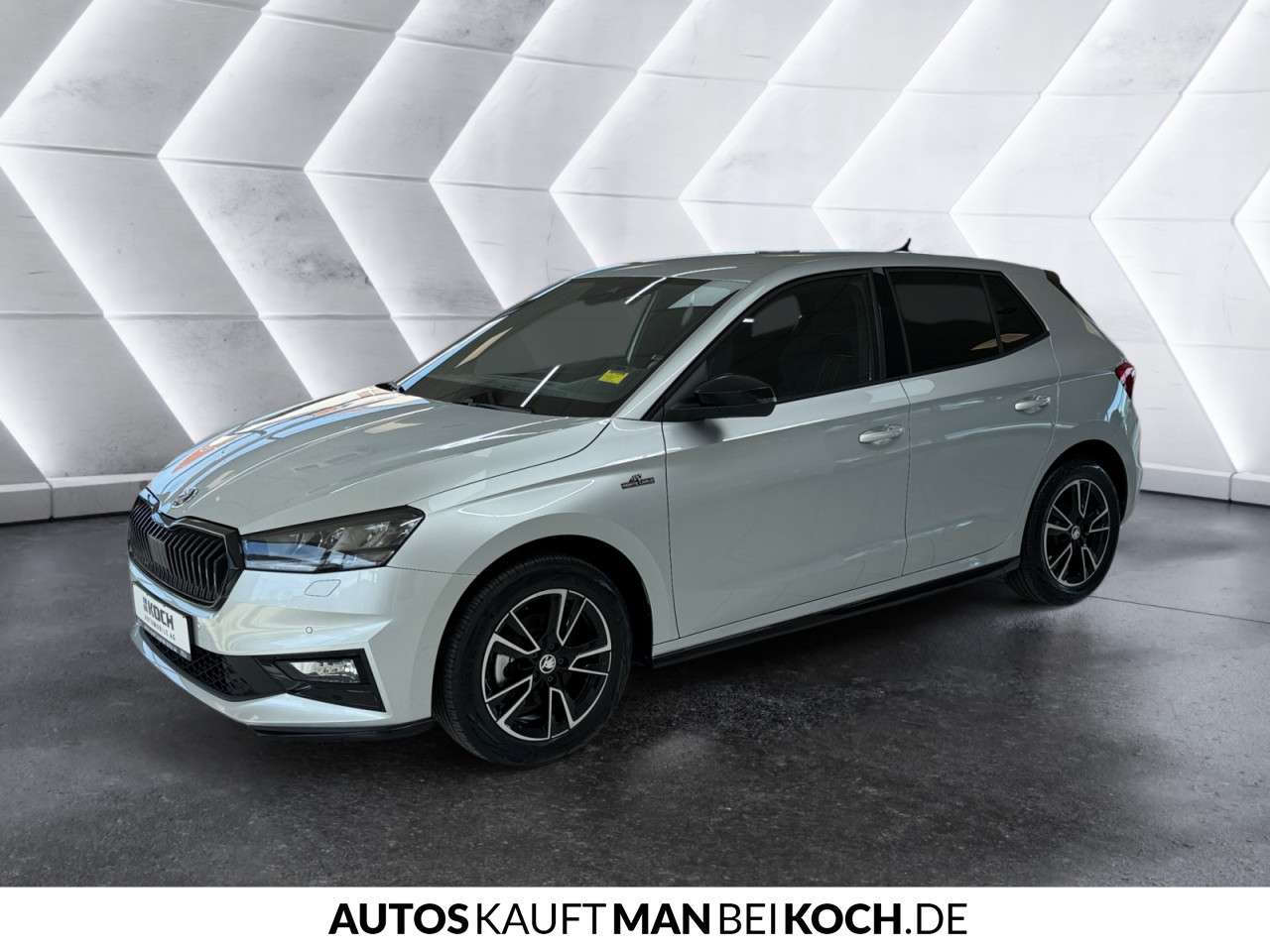 Fahrzeugbild eines Skoda Fabia