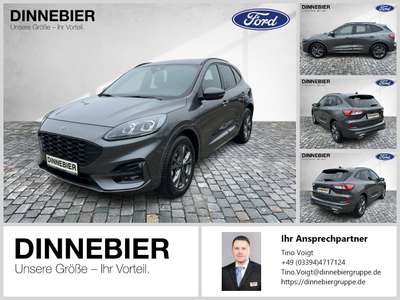 Bild Ford Kuga
