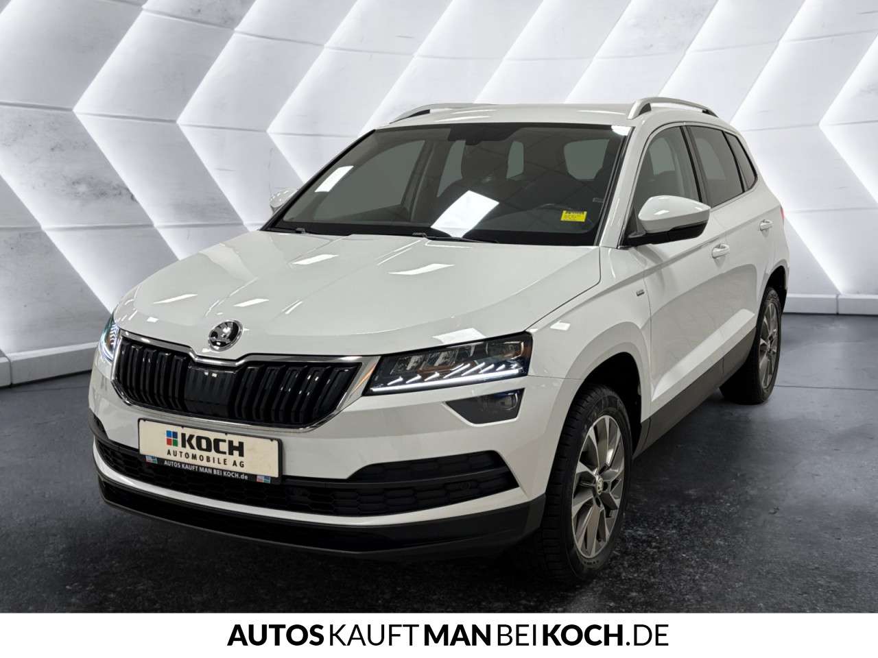 Fahrzeugbild eines Skoda Karoq