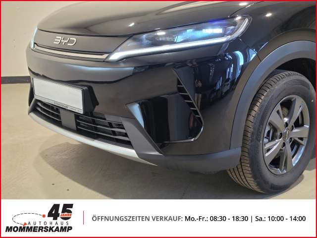 Fahrzeugbild eines BYD Atto 2
