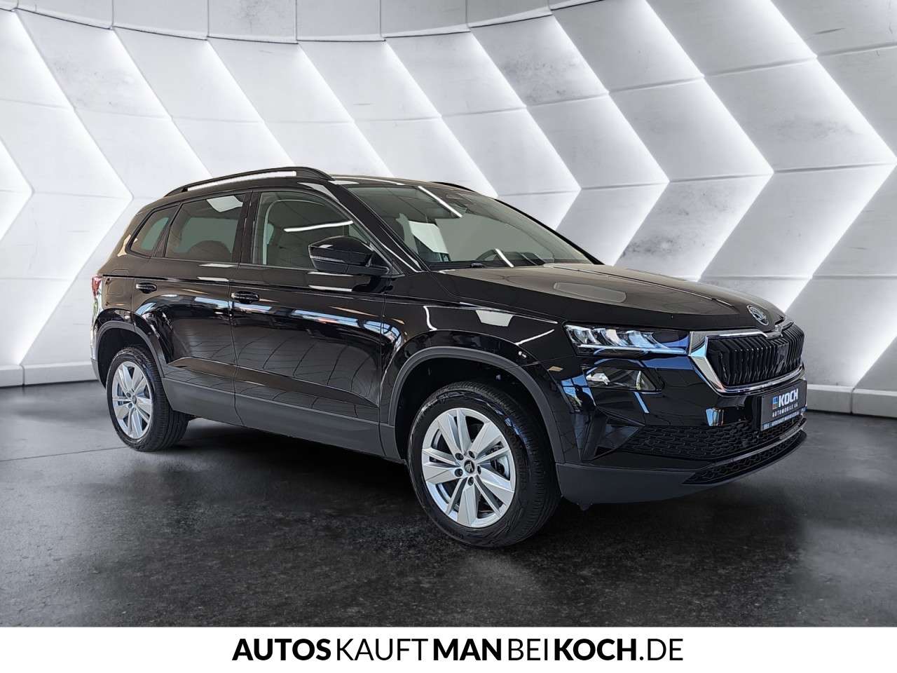 Fahrzeugbild eines Skoda Karoq