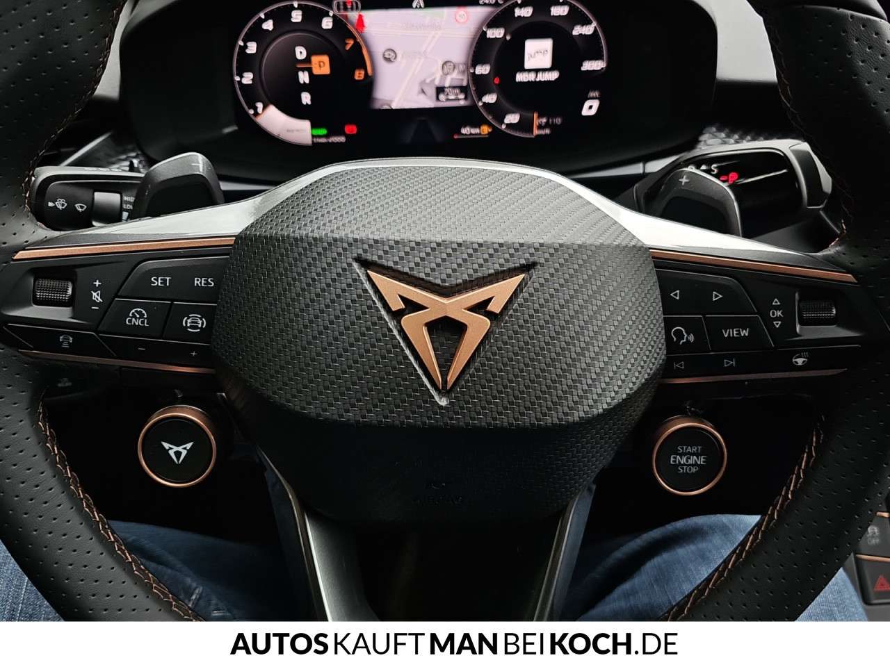 Fahrzeugbild eines CUPRA Terramar