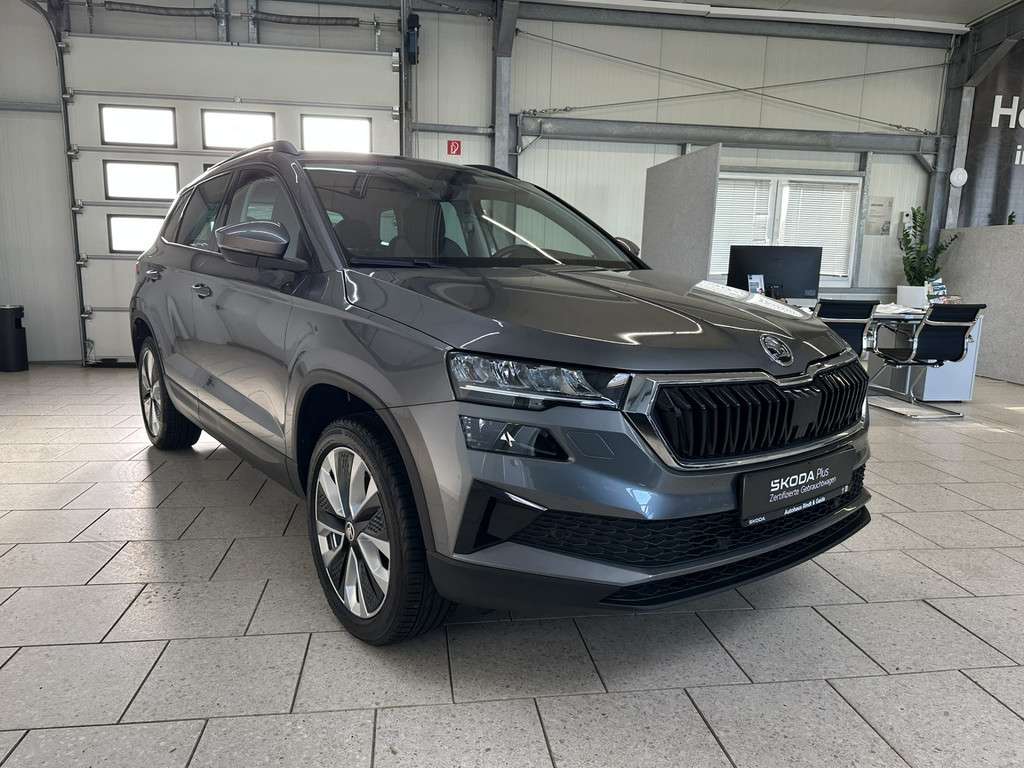 Fahrzeugbild eines Skoda Karoq