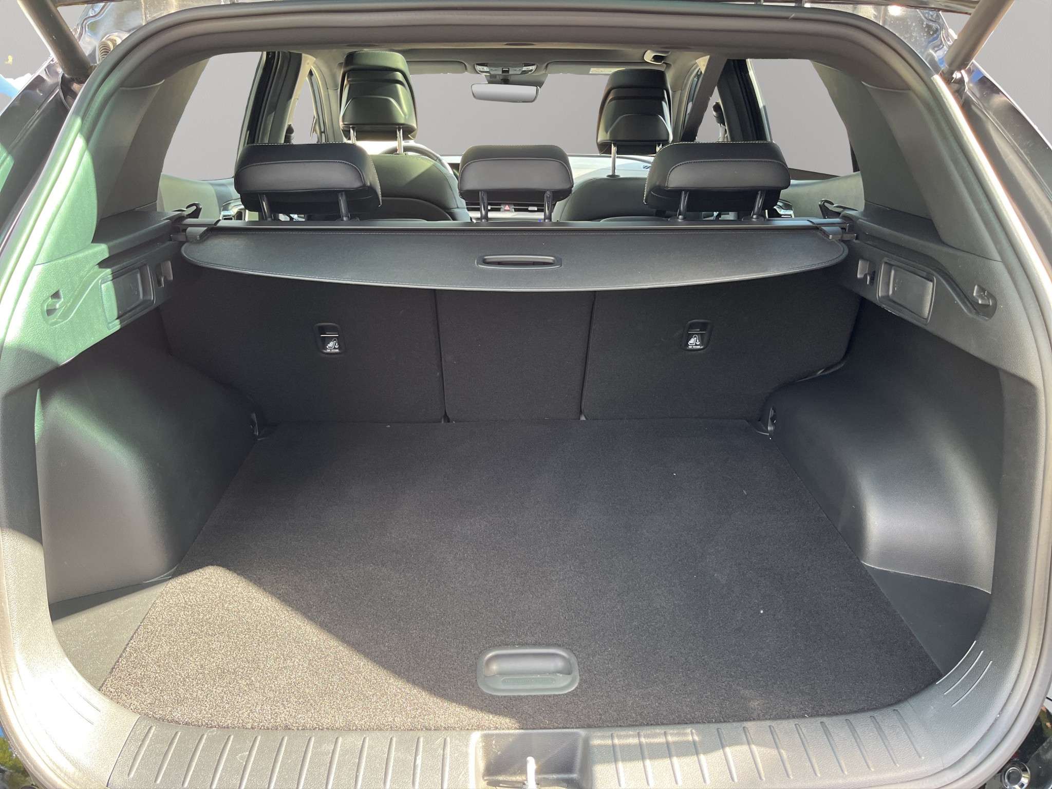 Fahrzeugbild eines Kia Sportage