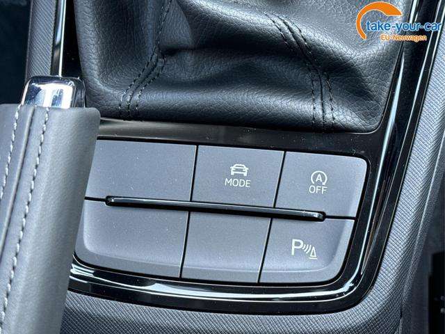 Fahrzeugbild eines Skoda Kamiq