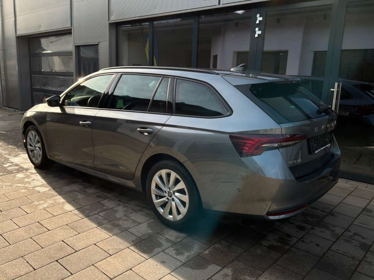 Fahrzeugbild eines Skoda Octavia