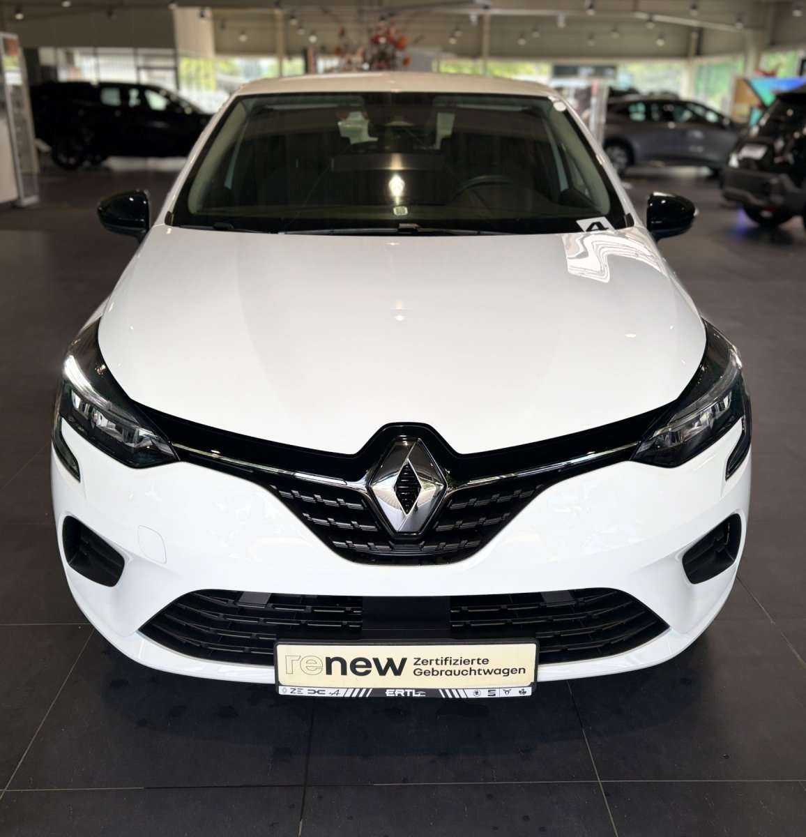 Fahrzeugbild eines Renault Clio