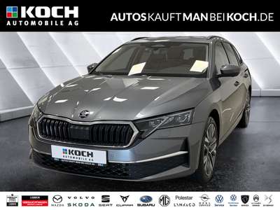 Bild Skoda Octavia