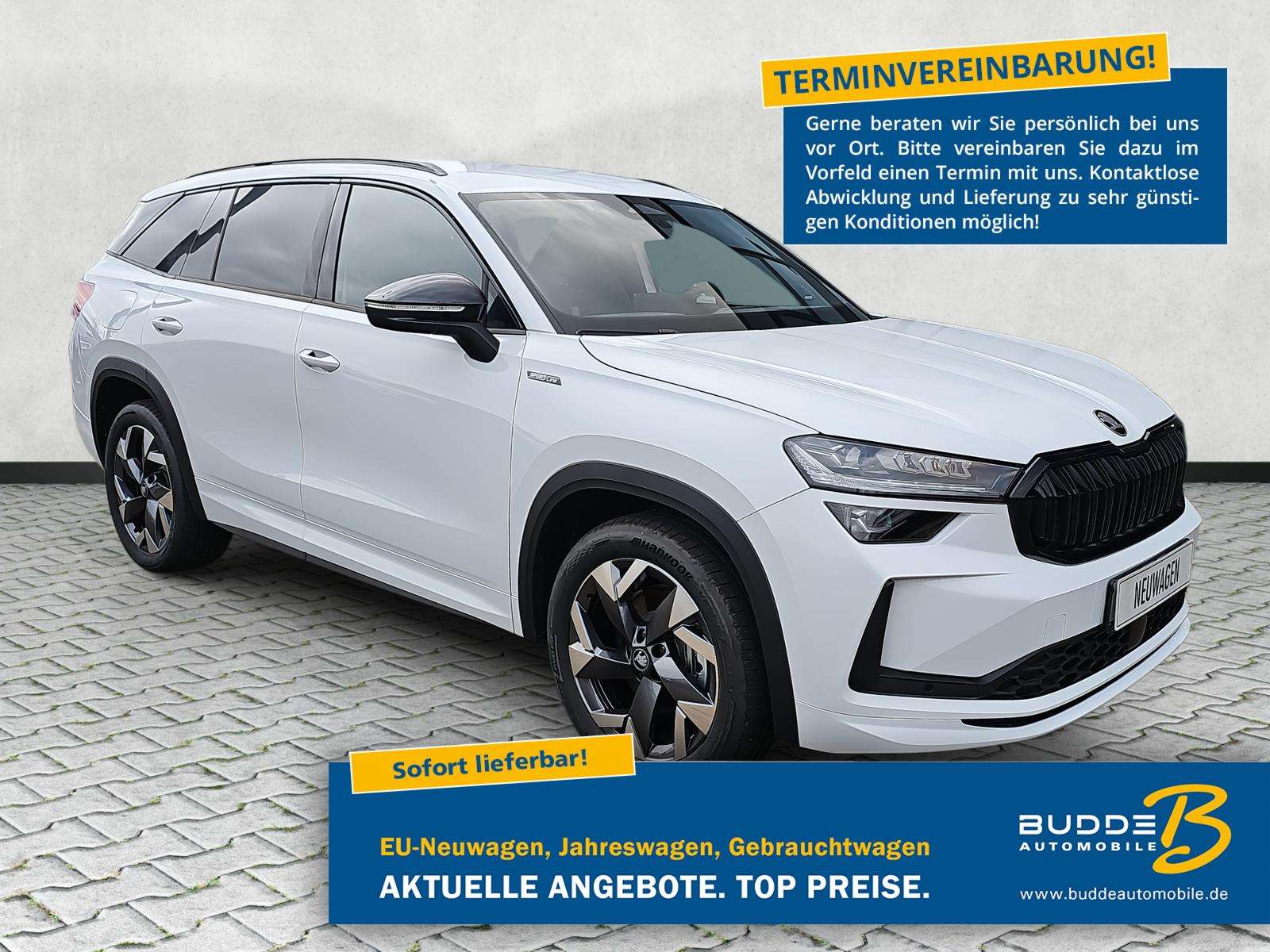 Fahrzeugbild eines Skoda Kodiaq