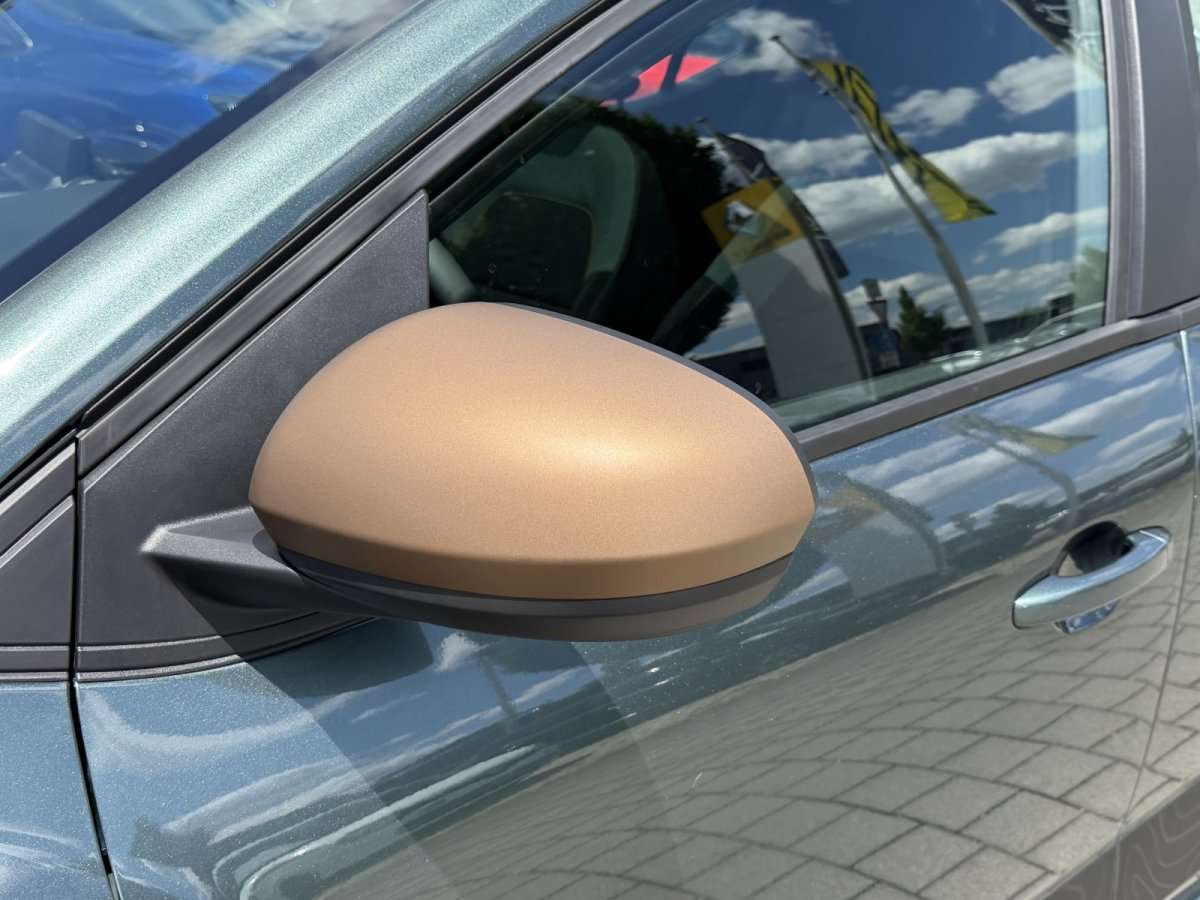 Fahrzeugbild eines Dacia Sandero