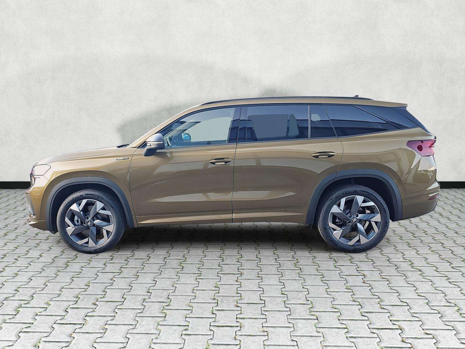 Fahrzeugbild eines Skoda Kodiaq