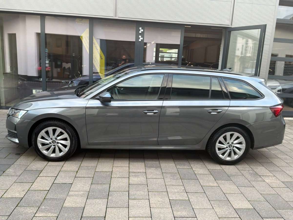 Fahrzeugbild eines Skoda Octavia