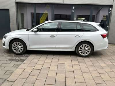 Bild Skoda Octavia
