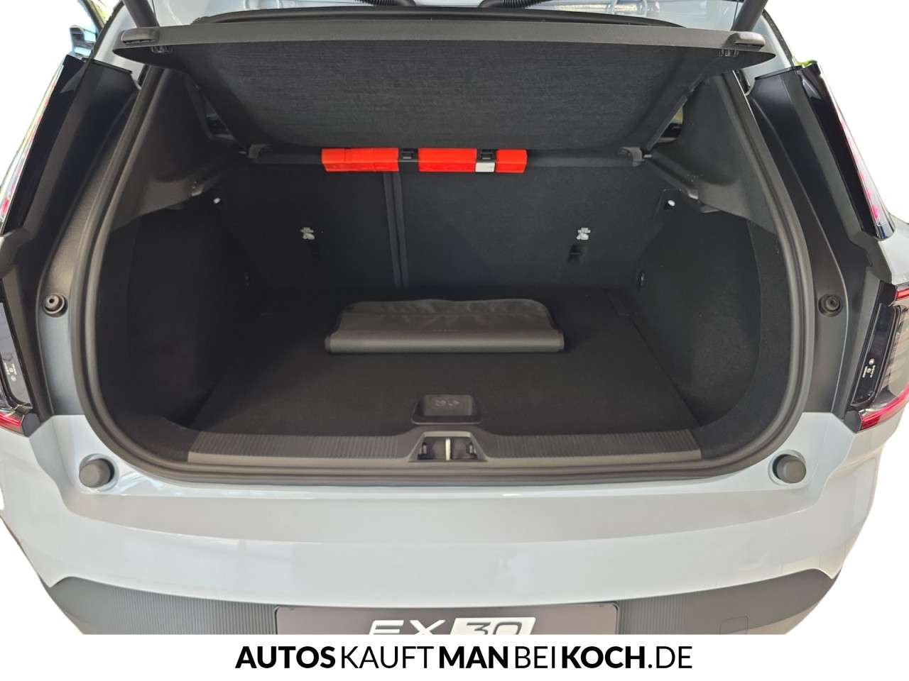 Fahrzeugbild eines Volvo EX30