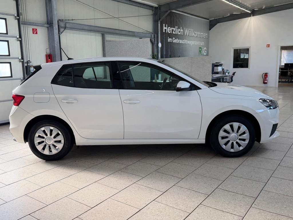 Fahrzeugbild eines Skoda Fabia