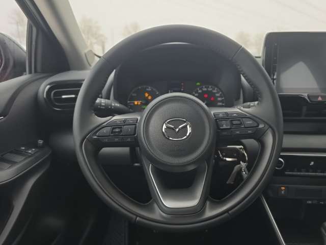 Fahrzeugbild eines Mazda Mazda2