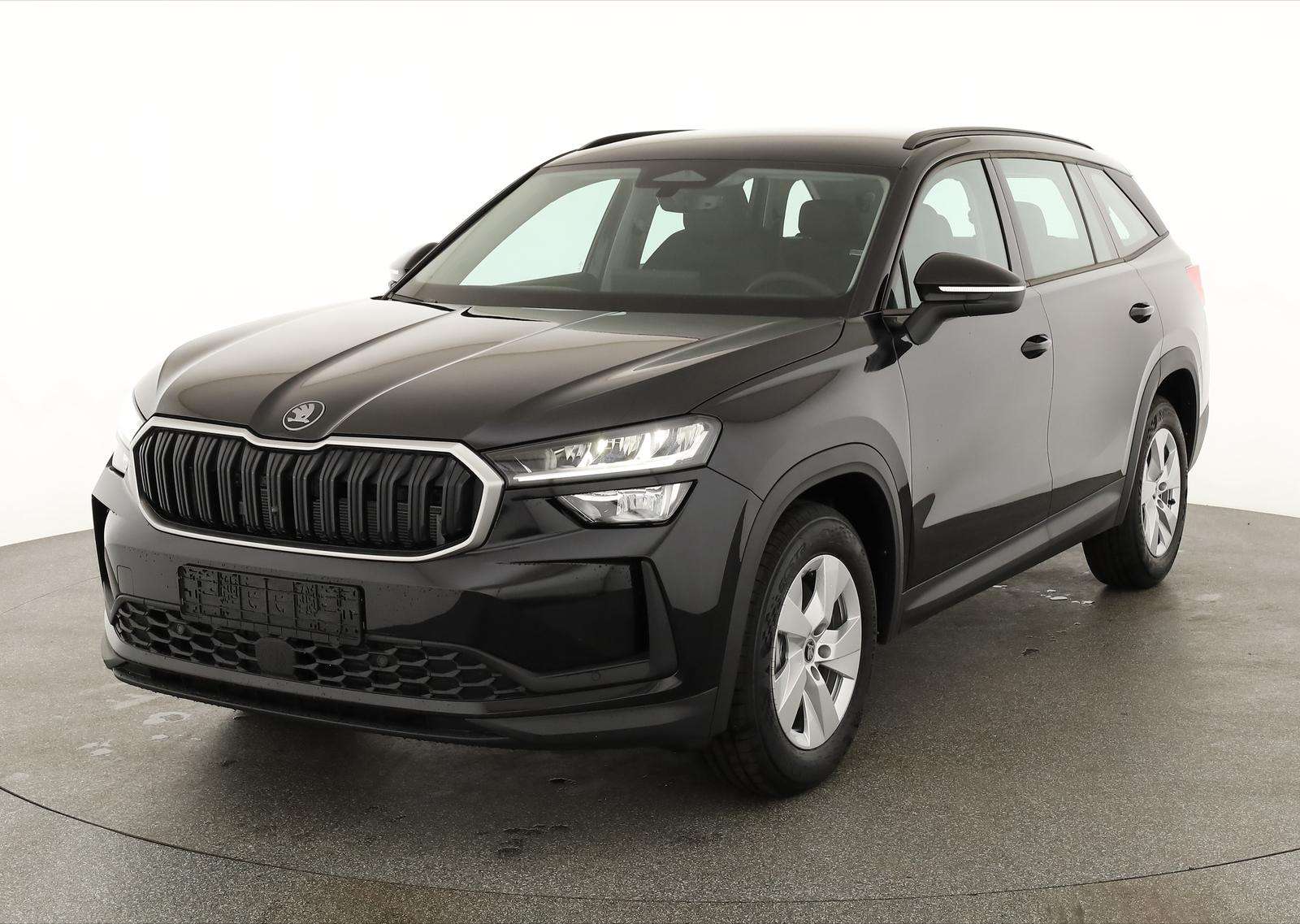 Fahrzeugbild eines Skoda Kodiaq