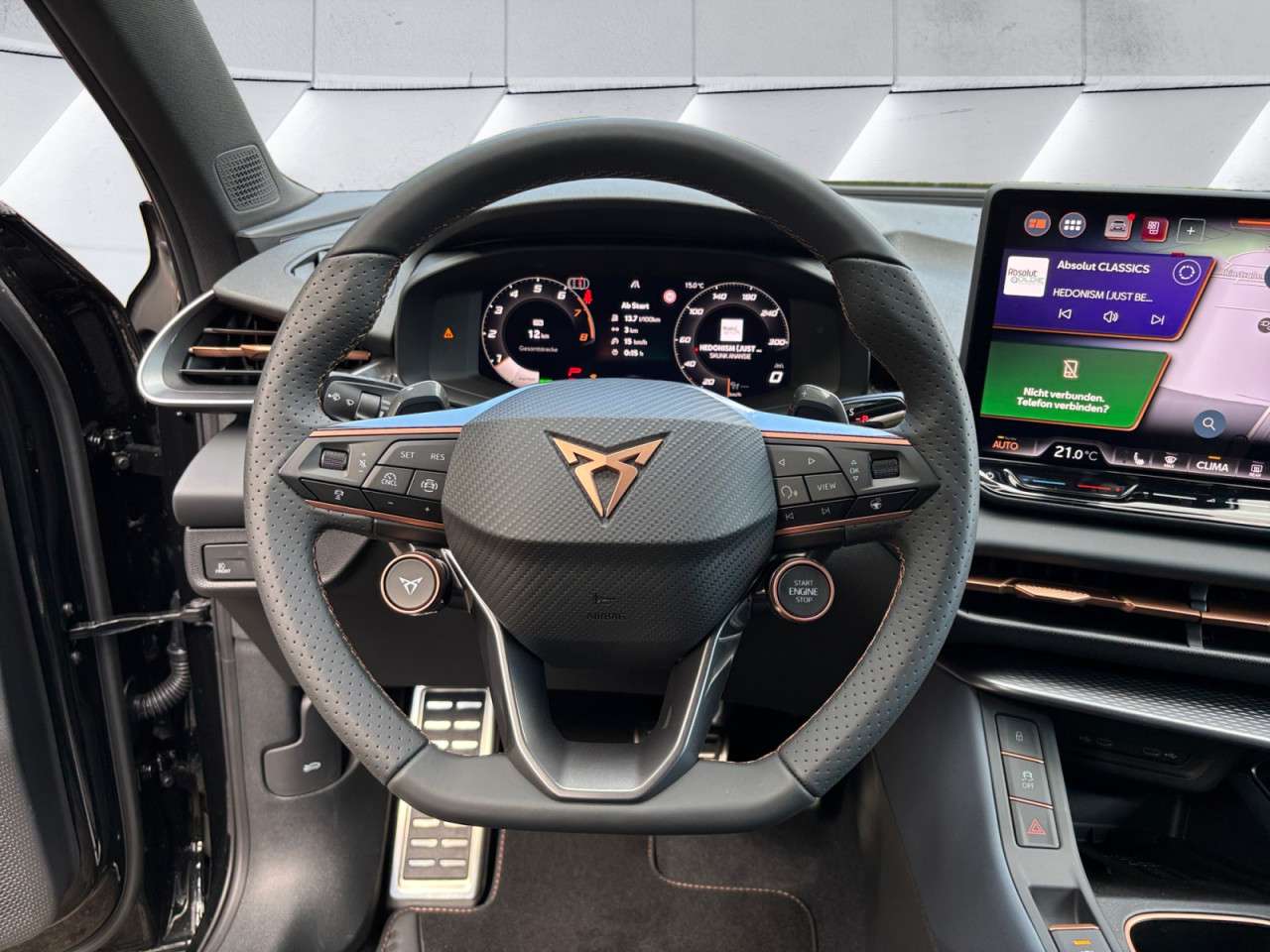 Fahrzeugbild eines CUPRA Terramar