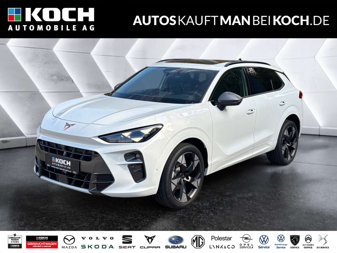 Fahrzeugbild eines CUPRA Terramar