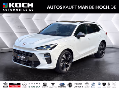 Bild CUPRA Terramar