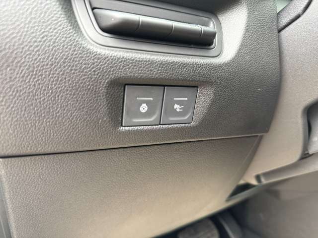 Fahrzeugbild eines Renault ZOE