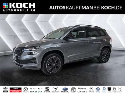 Bild Skoda Karoq